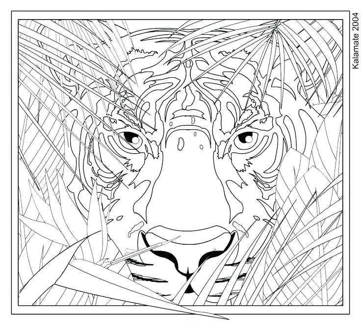 736x666 Tiger Coloring Teamwork Coloring Pages Tiger Coloring For Adults