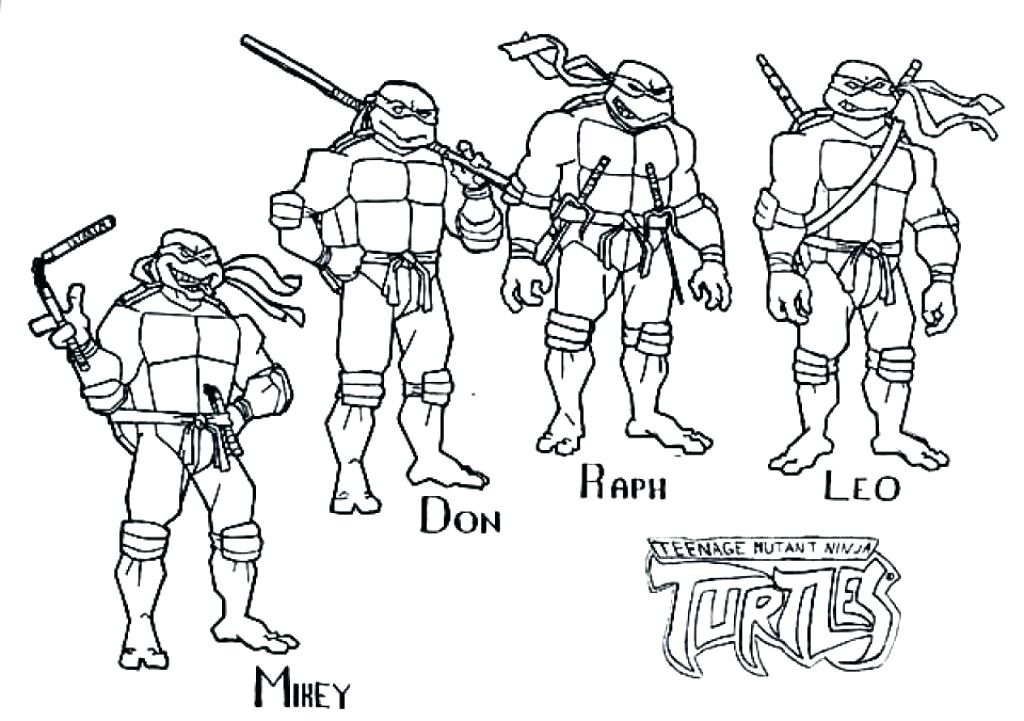 1024x721 Turtle Coloring Pages Look Real For Preschool Page Free Printable