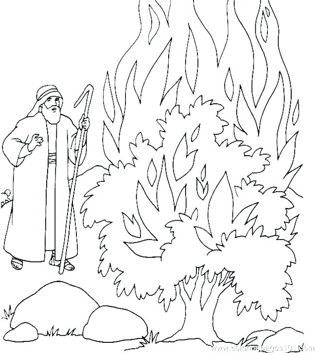 650x728 Ten Plagues Coloring Pages Shippa.co