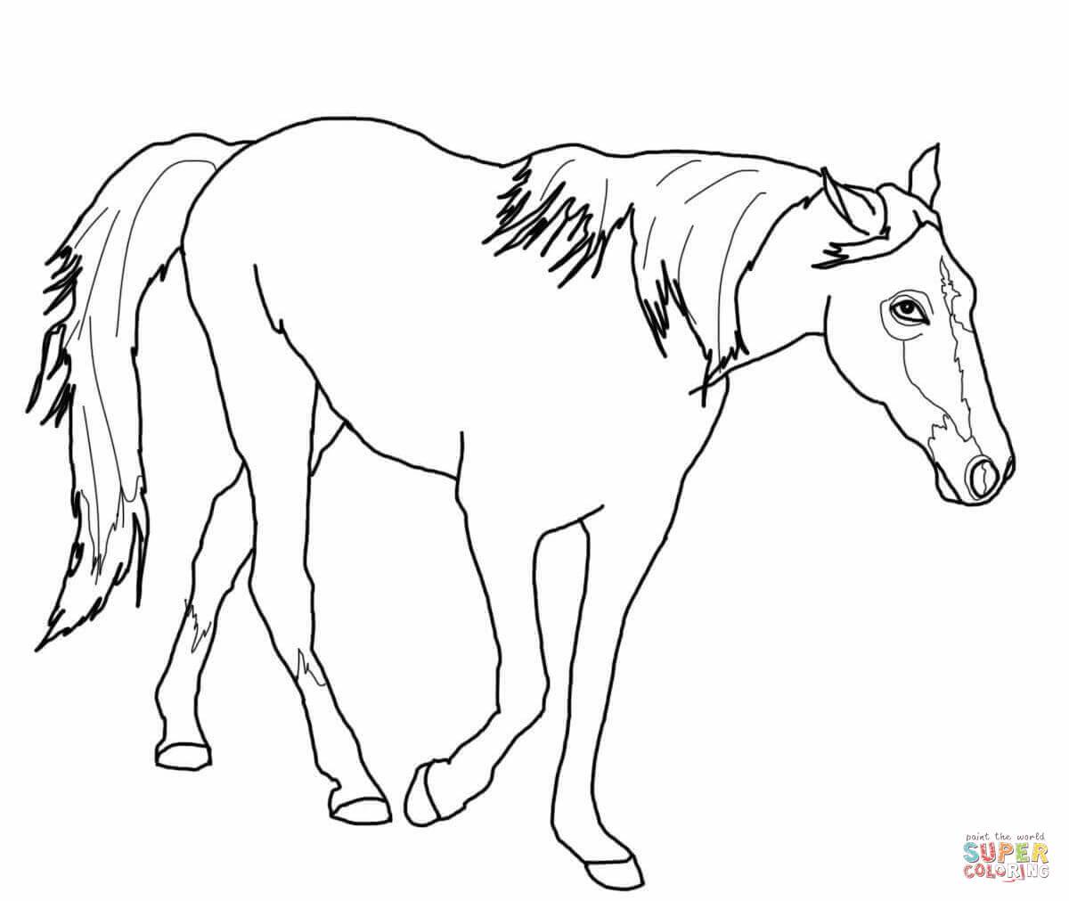 Tennessee Coloring Pages