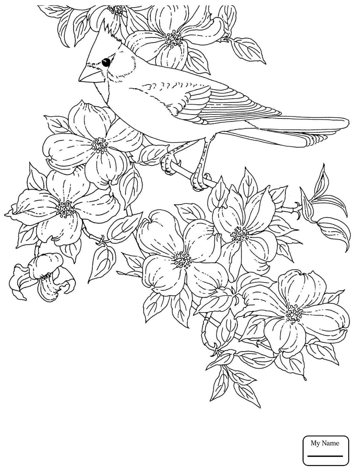 1224x1632 Reliable Iowa State Bird Coloring Page Tennessee Free Printable