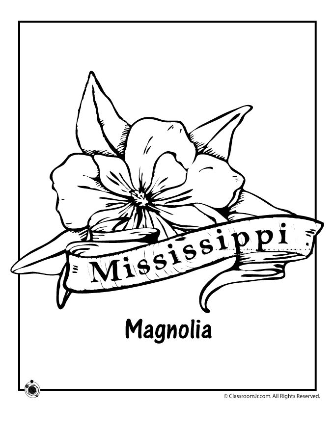 680x880 12 Best Mississippi Coloring Pages Images