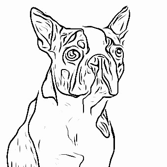 Terrier Coloring Pages