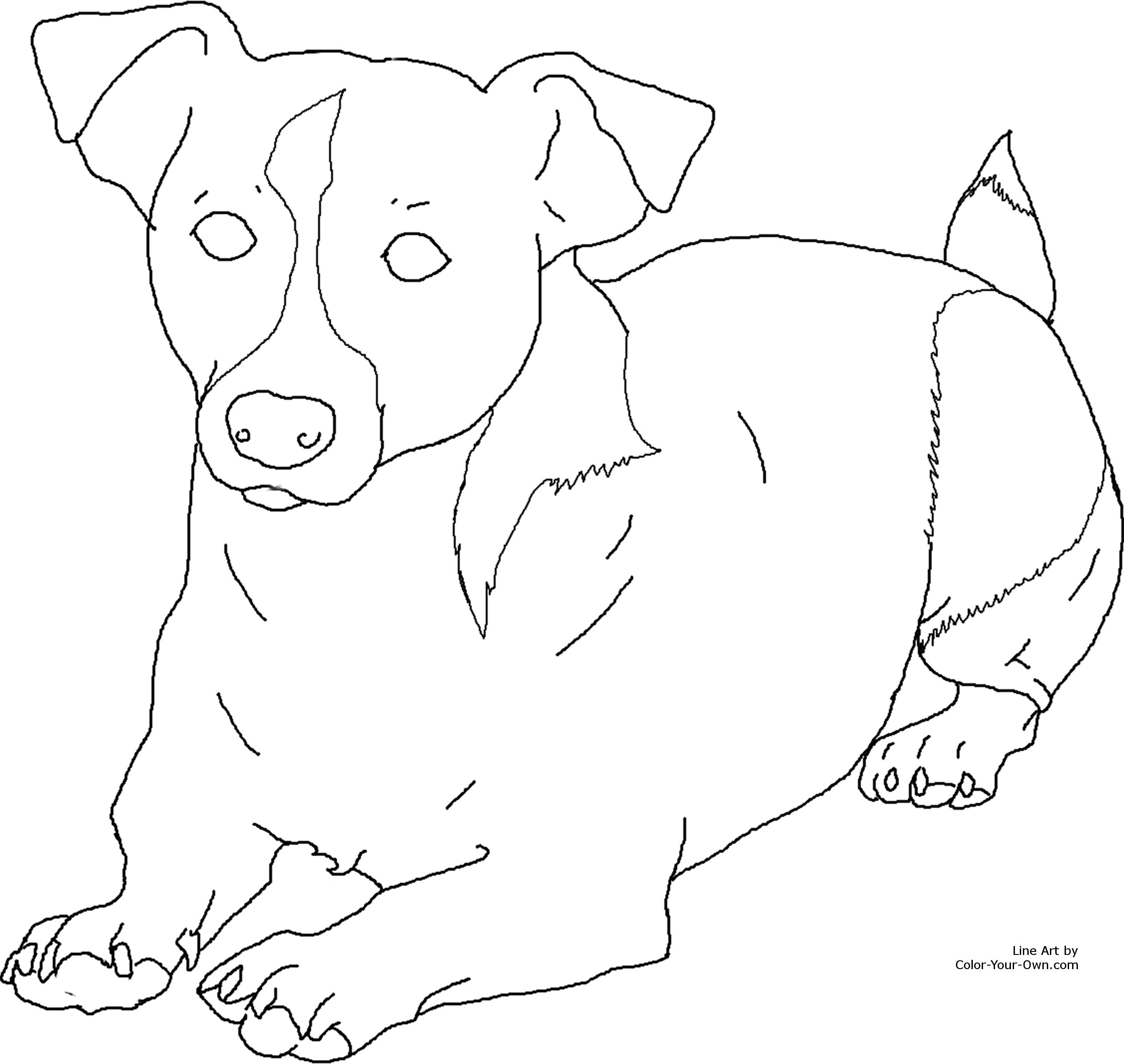 2535x2400 Jack Russell Terrier Coloring Pages Printable Coloring For Kids 2018
