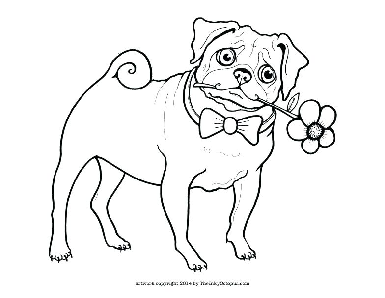 784x606 Pug Coloring Page Terrier Colouring Page Together With Terrier