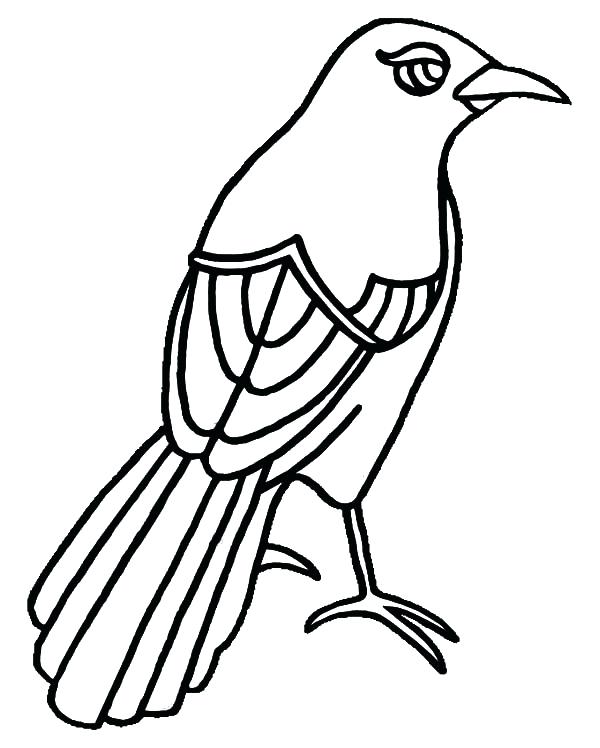 600x748 Texas Coloring Pages Mockingbird Has Beautiful Eye Coloring Pages