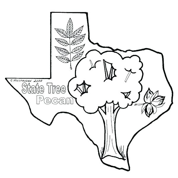600x600 Flag Coloring Sheet Texas Flag Coloring Page Printable Texas Flag