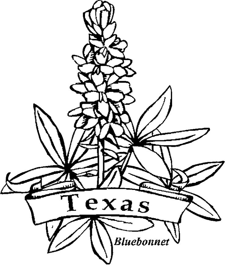 Texas Flag Coloring Page