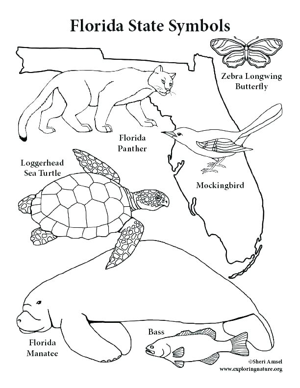 612x792 Texas State Bird Coloring Page Flag Coloring Page State Flag