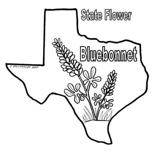 601x603 Texas Coloring Page Coloring Pages Texas Flag Coloring Pages