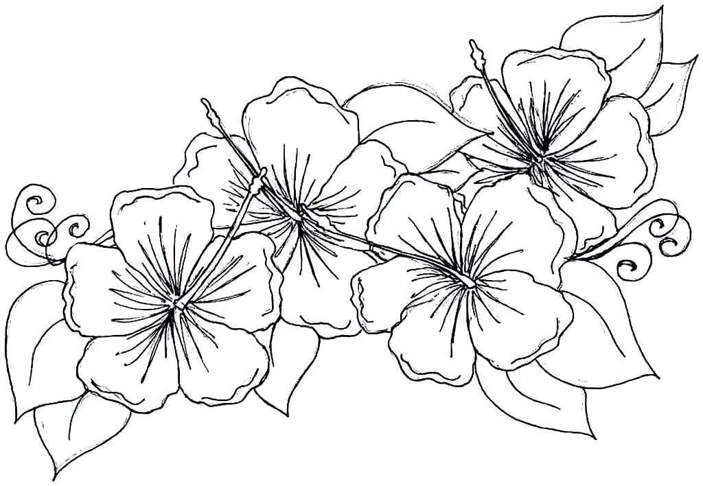 1024x708 Texas History Coloring Pages Printable Coloring Coloring Page