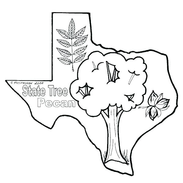 600x600 Texas Flag Coloring Page Icontent