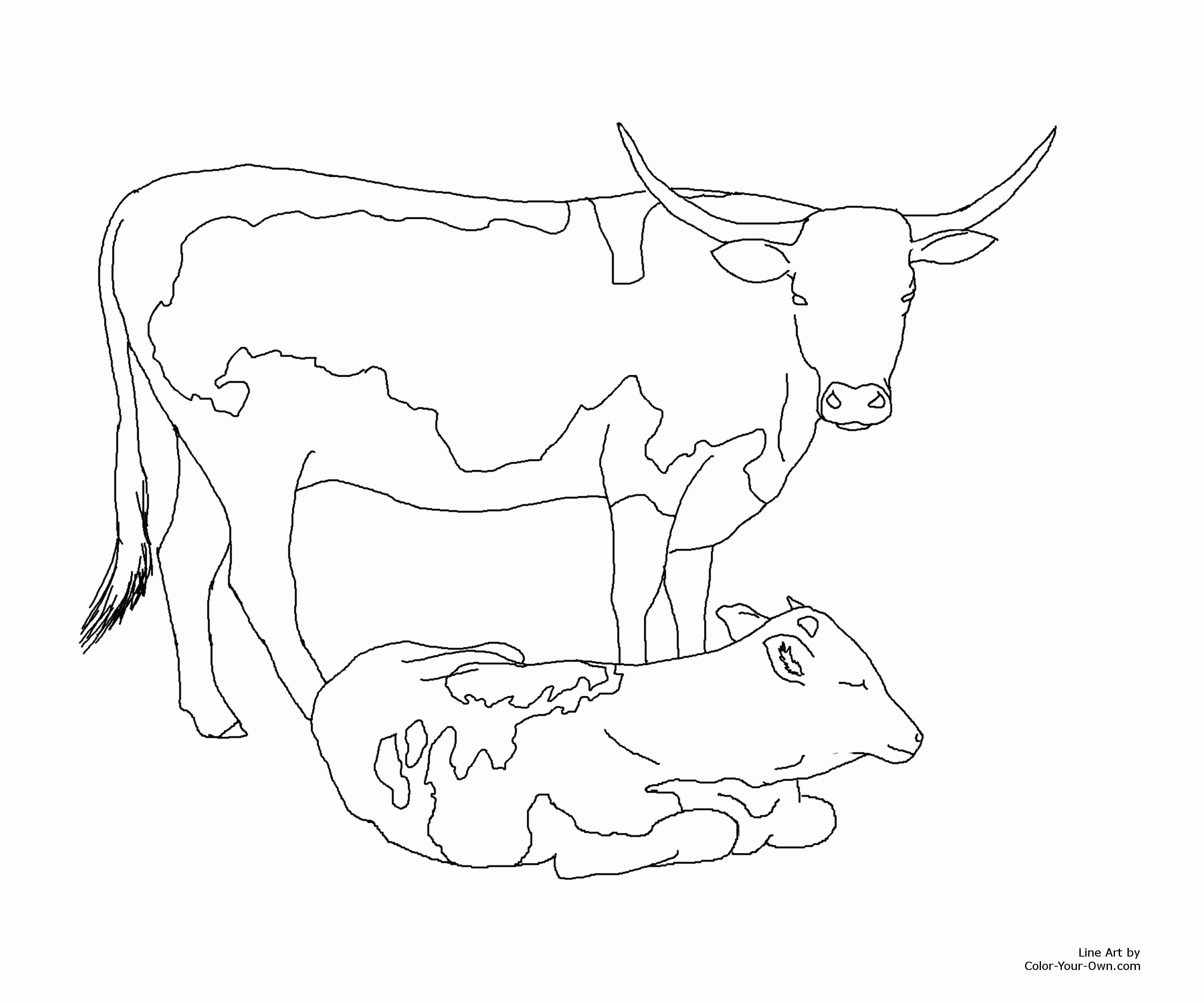2880x2400 New Longhorn Coloring Pages Gallery Printable Coloring Sheet