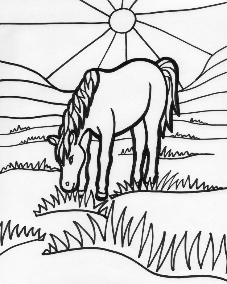 736x920 Texas Rangers Coloring Book