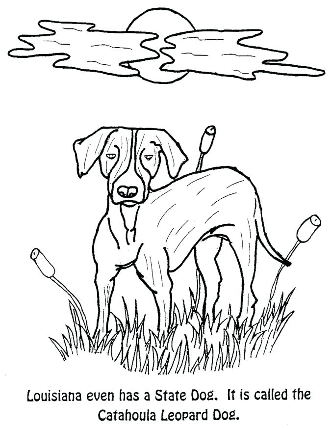 Texas State Symbols Coloring Pages