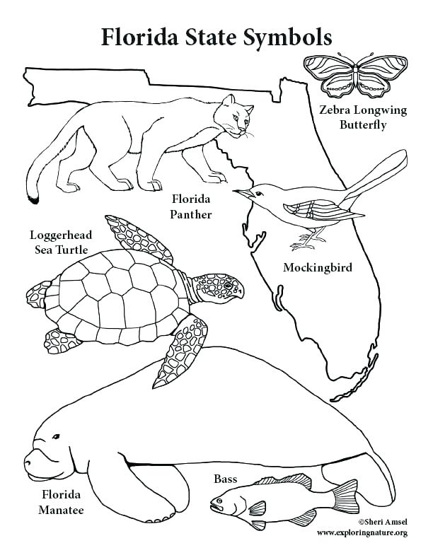 612x792 Texas State Flag Coloring Page Bird Pages Trend Thumbnail Size
