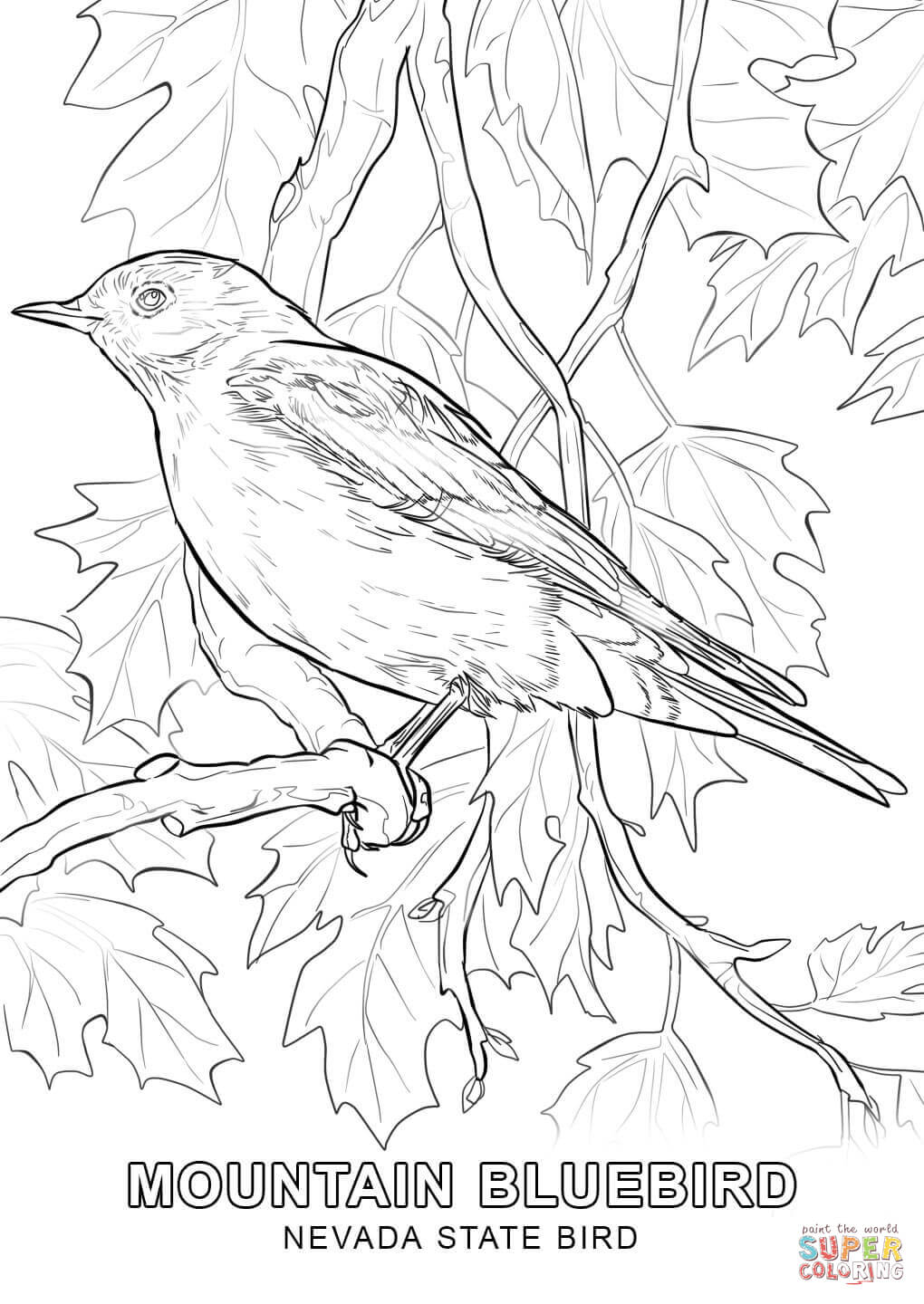 1020x1440 Complete Idaho State Symbols Coloring Pages Ne