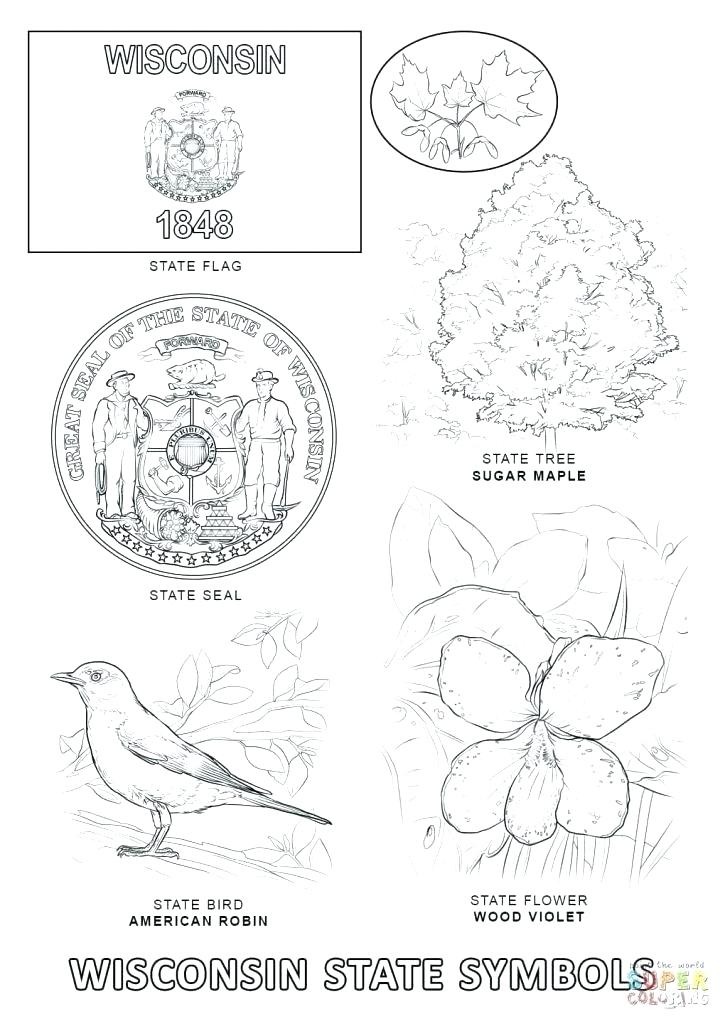 725x1024 Texas State Bird Coloring Page Symbols Coloring Pages State
