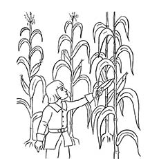 230x230 Top 25 Thanksgiving Coloring Pages For Your Toddlers