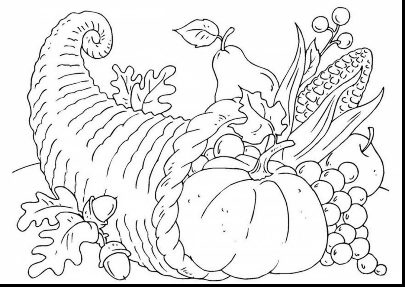 1375x974 Coloring Sheet Cornucopia Ideas Sheets Downl On Empty Page Many