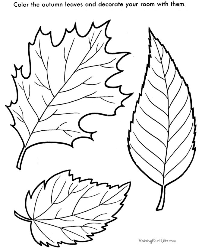 Thanksgiving Leaves Coloring Pages