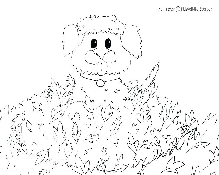 728x582 Fall Coloring Pages Printable Autumn Coloring Pages Thanksgiving