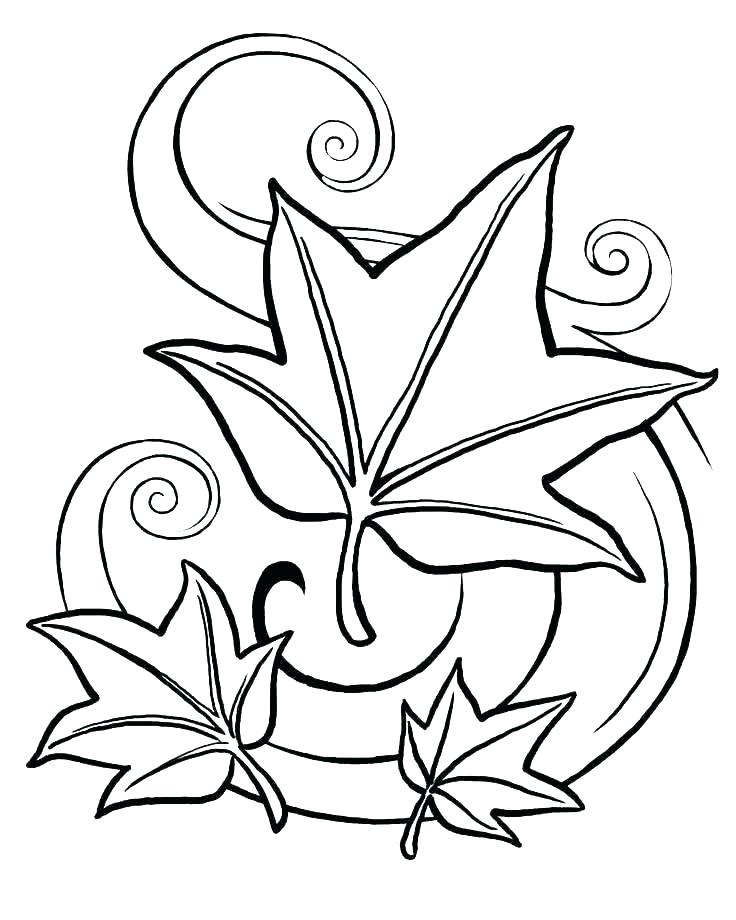 736x920 Leaf Coloring Page Coloring Page Of Leaves Thanksgiving Leaves