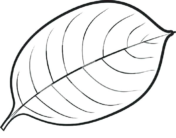 600x470 Leaf Coloring Pages Thanksgiving Leaves Coloring Pages Coloring