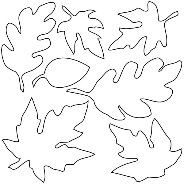 600x600 Various Type Of Maple Leaf Coloring Page Dolig