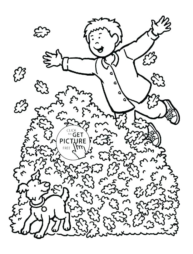 618x813 Fall Leaves Coloring Pages Printable