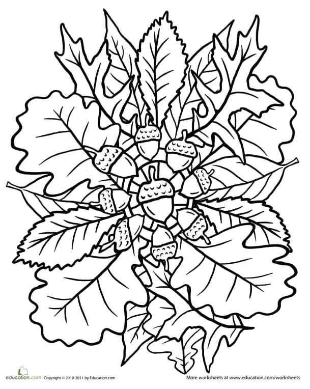 609x764 Thanksgiving Mandala Coloring Pages Free Printable Thanksgiving