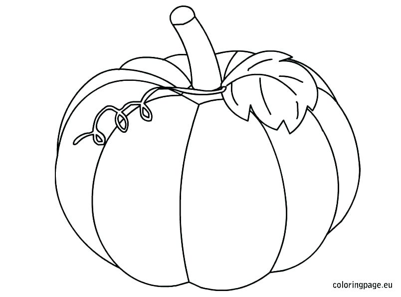 804x595 Free Pumpkin Coloring Pages Pumpkin Coloring Pages Free Pumpkin