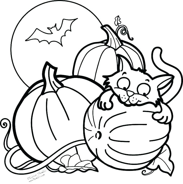 728x732 Outline Of A Pumpkin Pumpkin Color Pages Printable Pumpkin