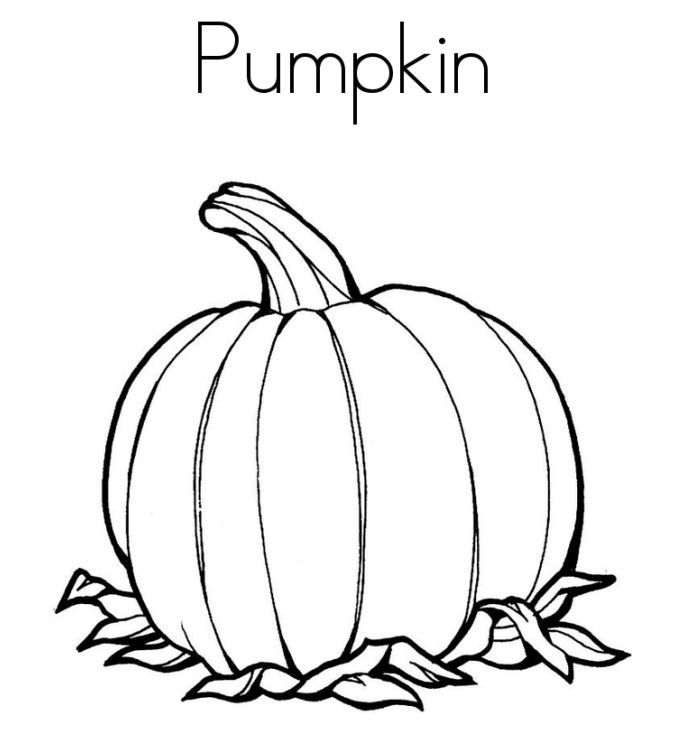 685x749 Pumpkin Picture To Color Pumpkin Color Pages Printable Pumpkin
