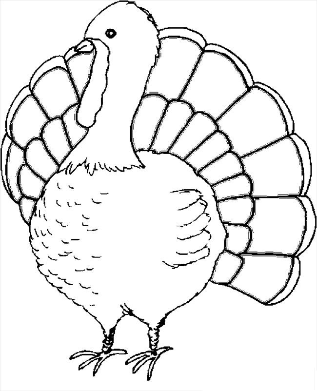650x802 Turkey Coloring Pages