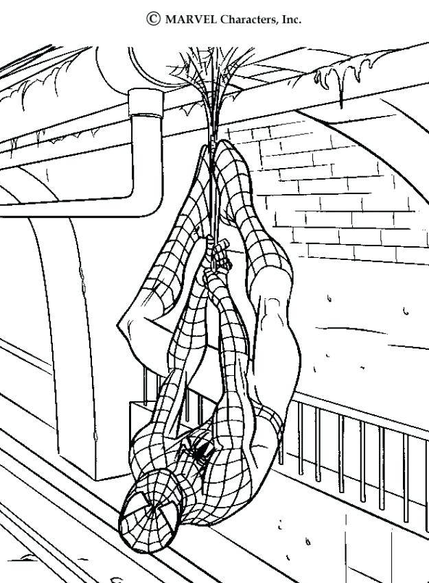 625x850 The Amazing Online Coloring Pages Webs Amazing Spider Man 2