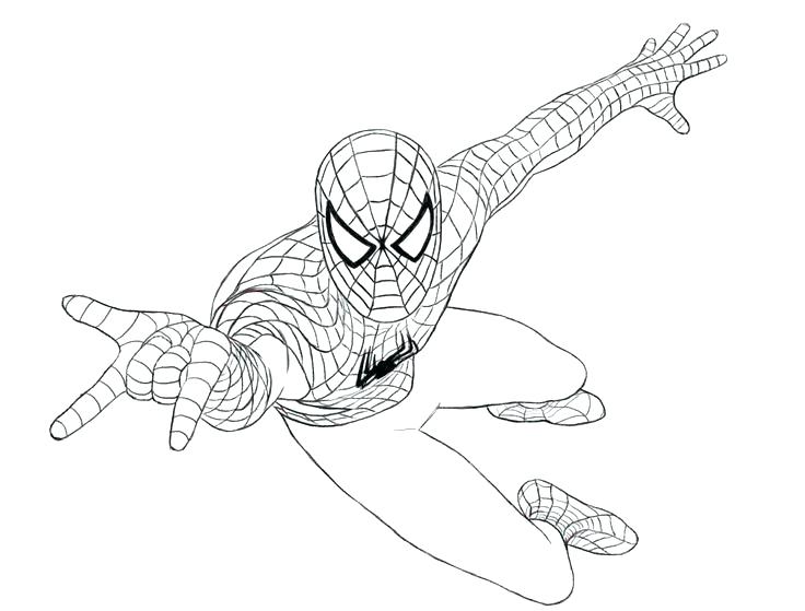 736x559 The Amazing Spider Man 2 Coloring Pages The Amazing Spider Man