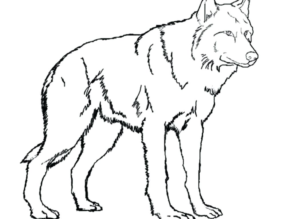 1000x768 Anime Wolf Coloring Pages Coloring Pages Of Anime Wolves Many