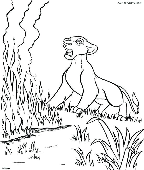 600x709 Lion King Coloring Pages King Coloring Page Lion King And The Lion