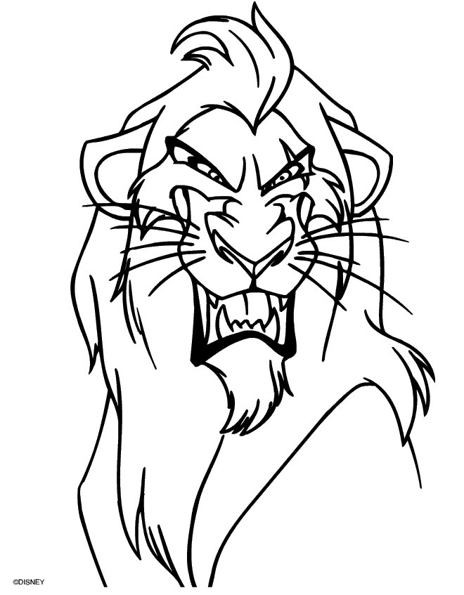 660x847 Top 81 Lion King 1 1 2 Coloring Pages