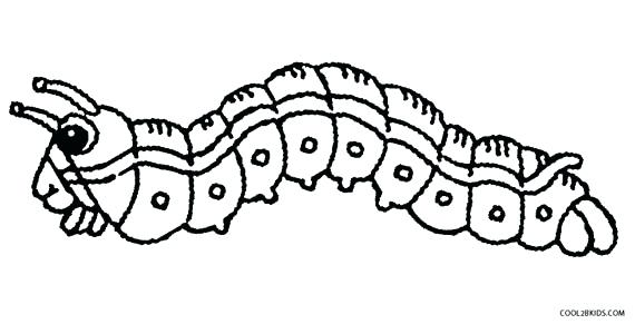 570x291 The Very Hungry Caterpillar Coloring Pages Interesting Free