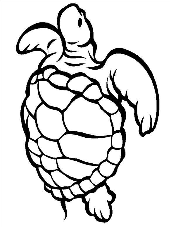 585x780 Turtle Templates, Crafts Amp Colouring Pages Free Amp Premium