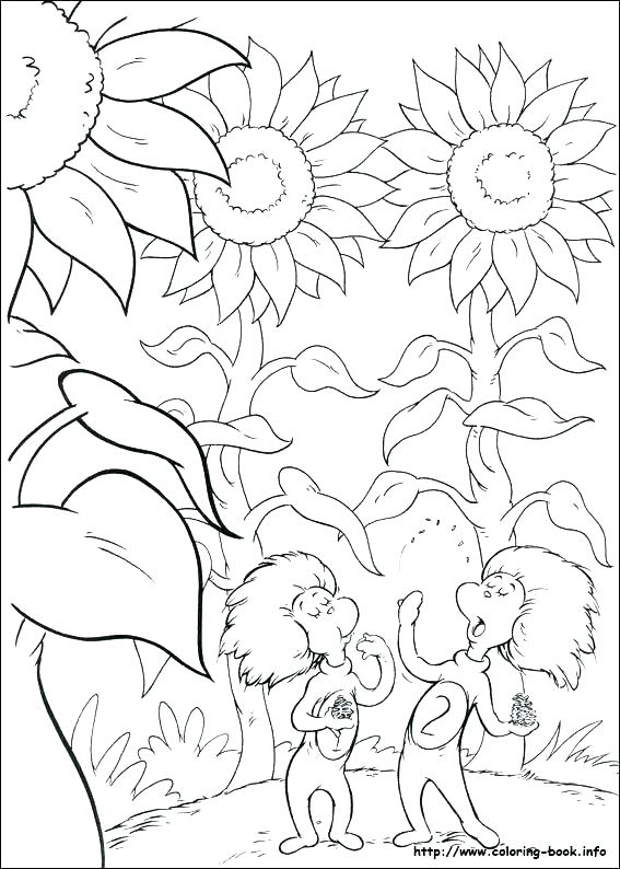 567x794 Dr Seuss Printable Coloring Pages Color Book And Coloring Pages