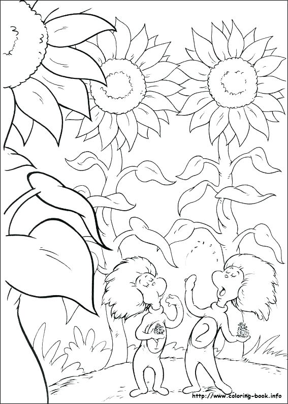567x794 Coloring Pages Of Power Rangers Fly Page Samurai Free Printable