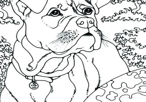 476x333 Boxer Coloring Pages Medium Size Of Dog Printable Coloring Pages