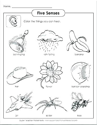 371x479 5 Senses Printable Coloring Pages Senses Coloring Pages Senses