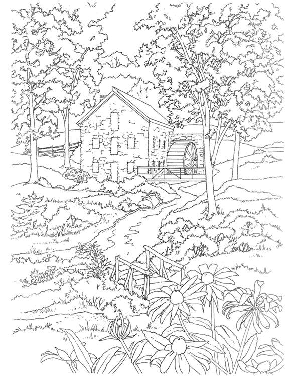 586x750 Pin Forest Scenery Colouring Pages Pictures