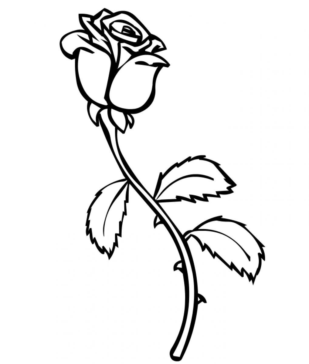 1018x1200 Rose With Thorns Coloring Page Pages Roses