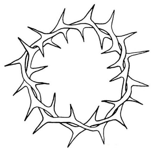 530x513 Coloring Easter Week Coloring Crown Of Thorns Coloringchild