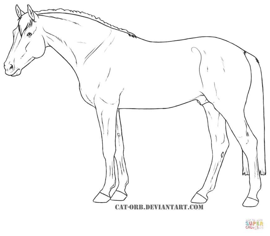 872x762 Hanoverian Horse For Coloring Page